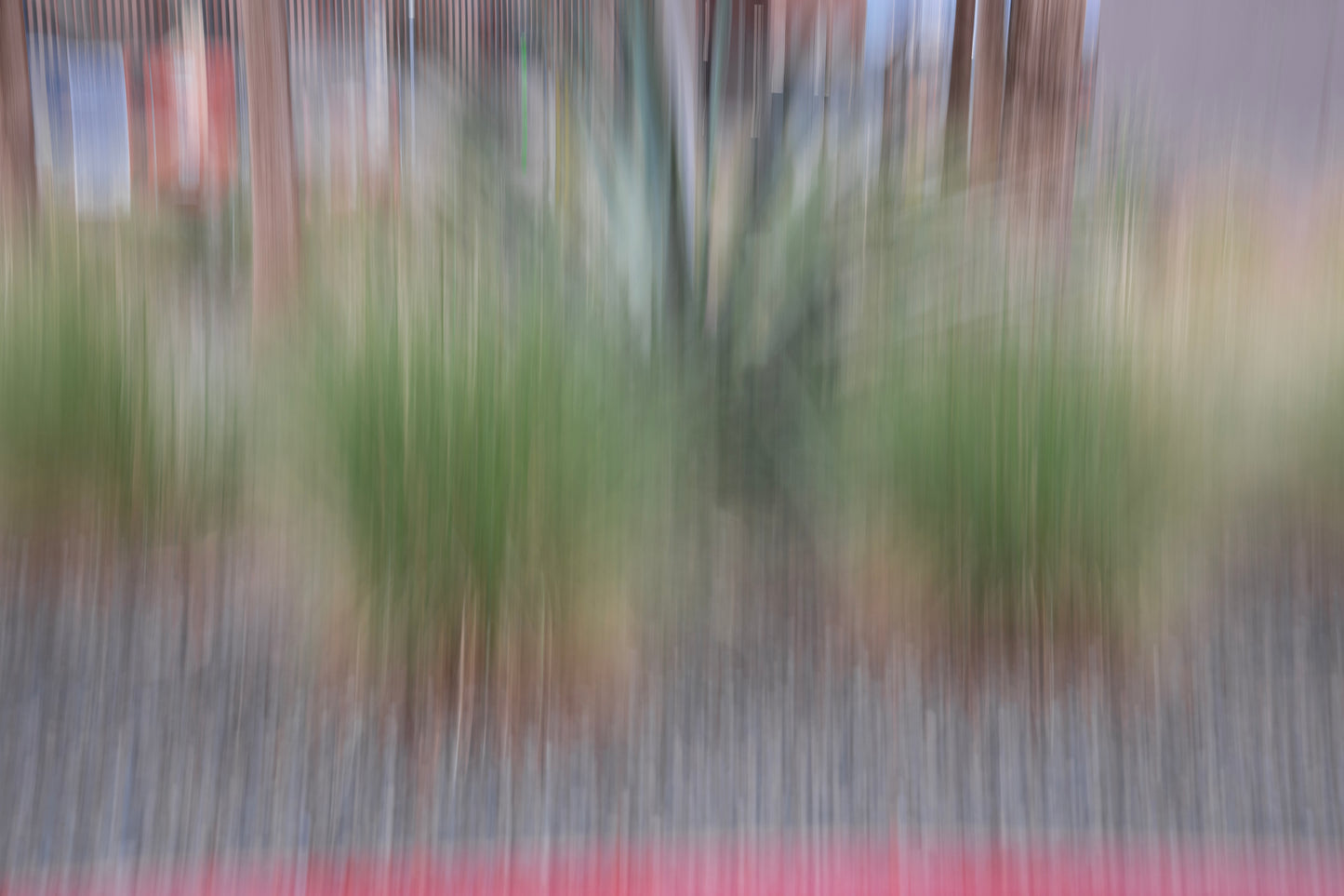 Ornamental Grasses I